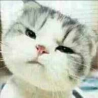 瞑殇