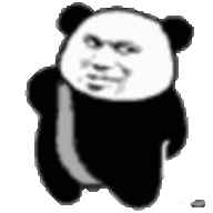 2316020772