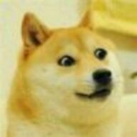 XBoxTNTDOGE