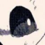 LOOP