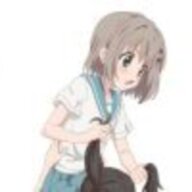 大马猴