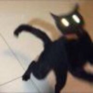 him13147