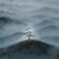 芎藭浪潮