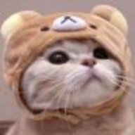 阿桐moooo