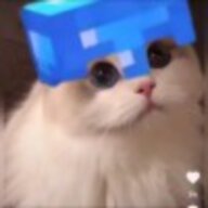 7666