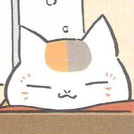莉莉安的斑马