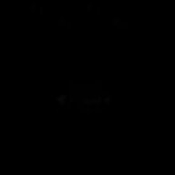 爱思特斯
