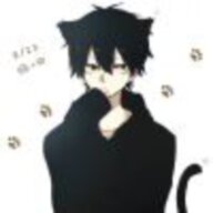 13cat