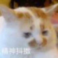 mengxing