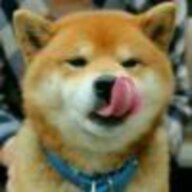 sxxddd