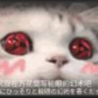 夏大大
