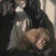 little_deer_