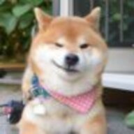 泰拉领主