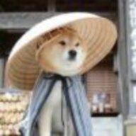 kookio