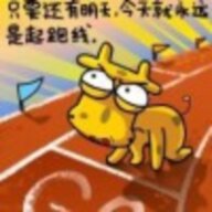 少年包青蛙