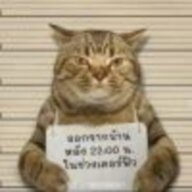 马宝国传人
