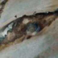 kwenlok