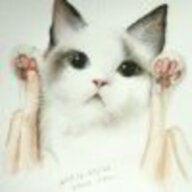 双生生生