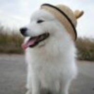 海洋轨迹