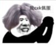 太上皮君
