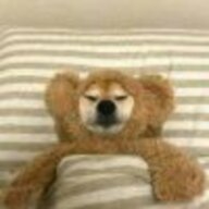 冰河四宰鱼