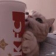 LemonTeaCHE
