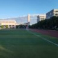 虎牙白菜