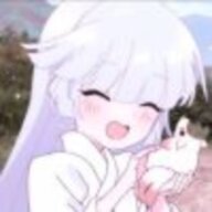 dyyitky