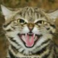 zjj