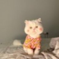 小肥江