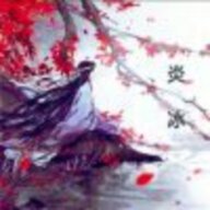 孤独的炎冰