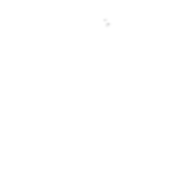 Jack0124