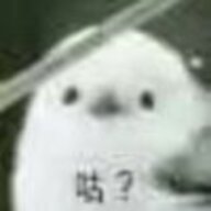 绝觉子