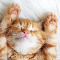 sleep