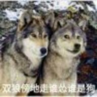 一顾望人倾