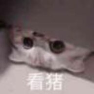 mukokuei