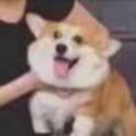 骛虚啊