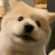 Tsuki