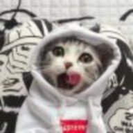 缘起缘灭