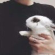 XiaoCc