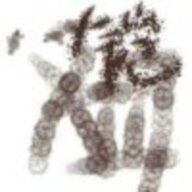 ykm2395424