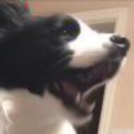 嘉乐保德罗