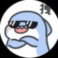是是是