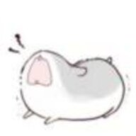 Phao