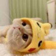 wuwaha