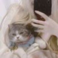 Aounie