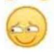 分体式