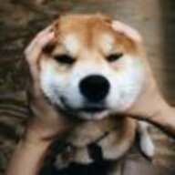 diao