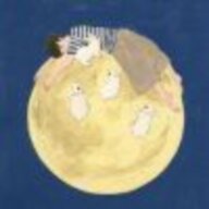 寻宝海盗