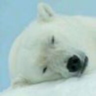 Hodr_